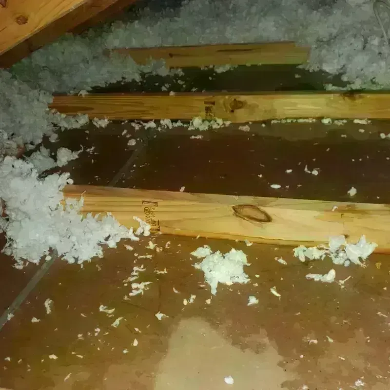 Attic Water Damage in Washington Heights, NY